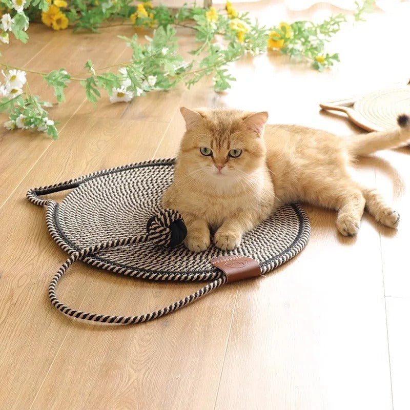griffoir chat utilisation au sol chat adulte