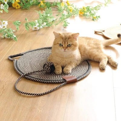 griffoir chat utilisation au sol chat adulte