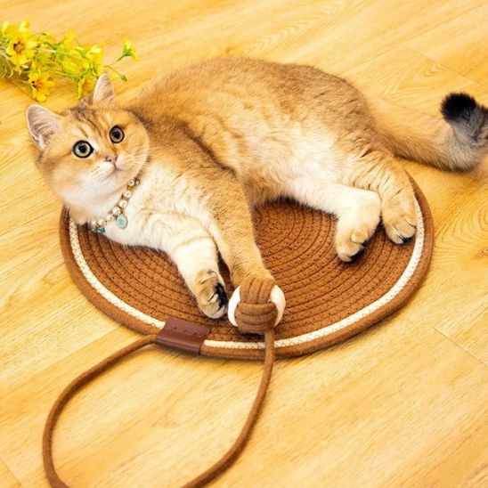 griffoir chat avec corde jouet stimulation