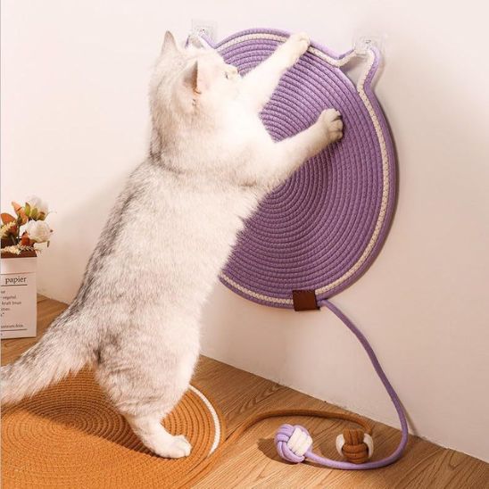 griffoir chat mural utilisation verticale