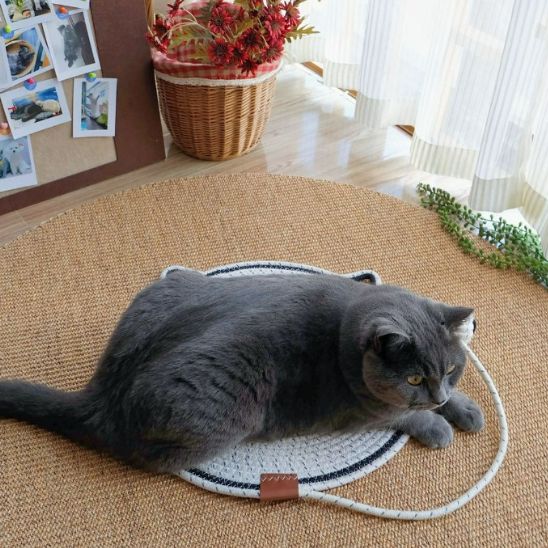 griffoir chat rond corde naturelle utilisation