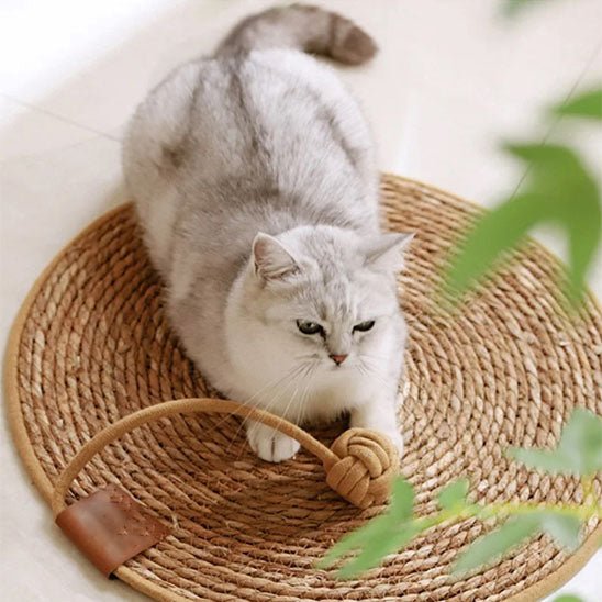 tapis griffoir chat naturel et fibres végétales