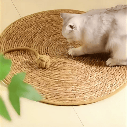 griffoir chat tapis intéractif en action