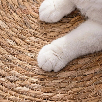 tapis griffoir chat fibres naturelles résistantes