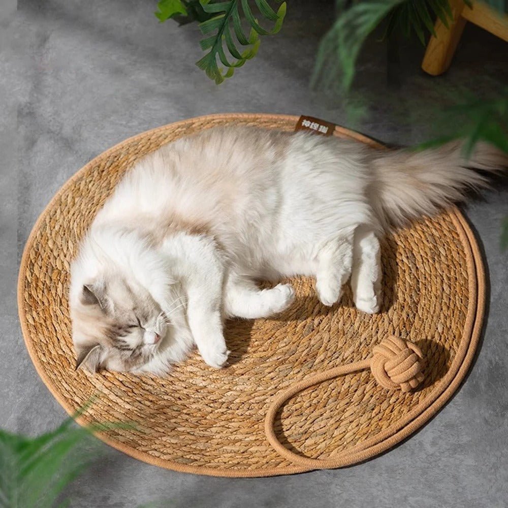 tapis chat naturel zone de repos confortable