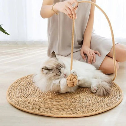 griffoir chat tapis avec jouet corde naturelle