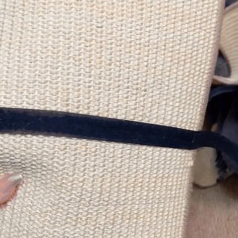 Chat faisant ses griffes sur un griffoir design en sisal fixé à un pied de meuble