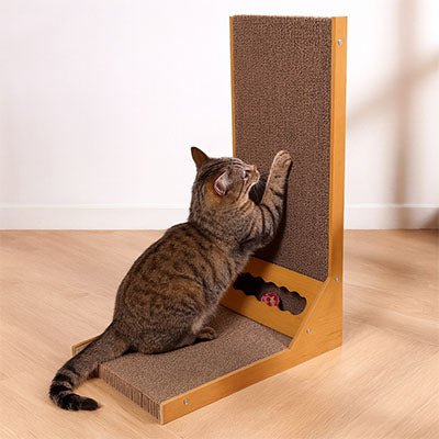 chat utilisant griffoir design en carton ondulé pour faire ses griffes