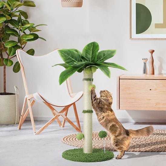 griffoir design palmier chat griffage vertical