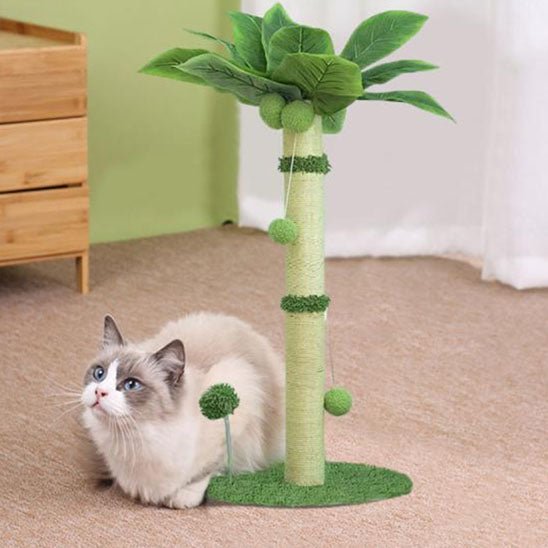 griffoir design palmier stimulation chat jeu