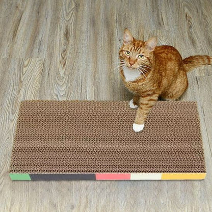 minou assis sur griffoir en carton pour chat ProtectAbsolue