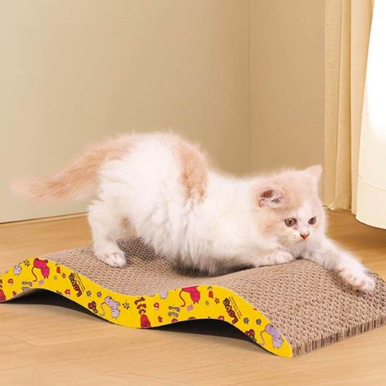 chaton mignon étire muscles dessus griffoir en carton pour chat ProtectAbsolue
