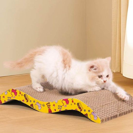 chaton mignon étire muscles dessus griffoir en carton pour chat ProtectAbsolue