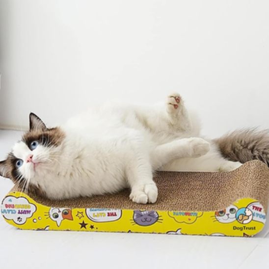 chat roule dessus griffoir en carton pour chat ProtectAbsolue