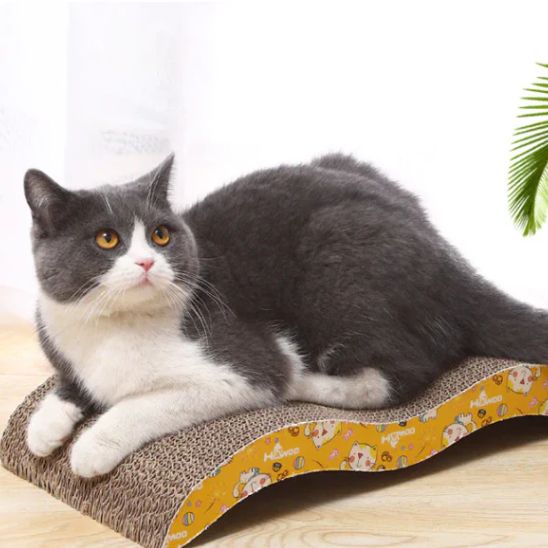 minou couché dessus griffoir en carton-pour chat ProtectAbsolue