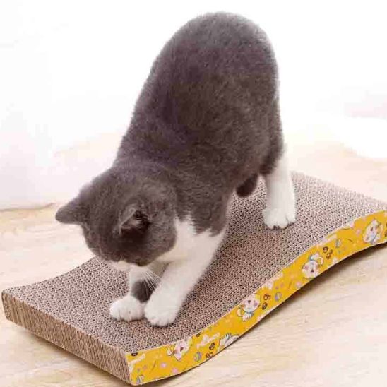chat fait griffes dessus griffoir en carton pour chat ProtectAbsolue