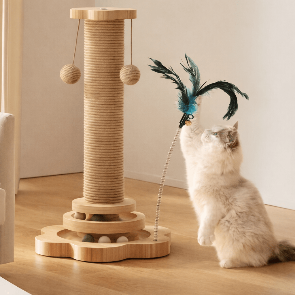 chat qui joue avec griffoir en sisal et jouet plume