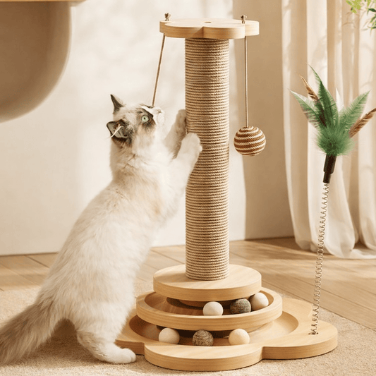 chat qui saute et joue sur un griffoir en sisal dans un salon lumineux
