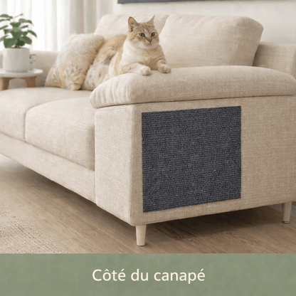 griffoir mural chat auto-adhésif protection meuble