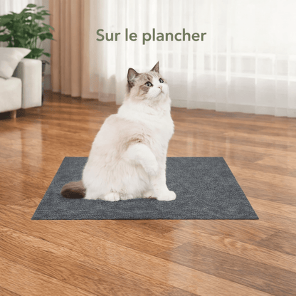 griffoir mural chat auto adhésif tapis griffoir plancher