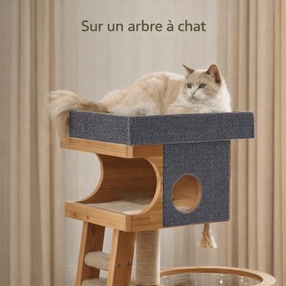 griffoir mural chat auto-adhésif sur arbre à chat