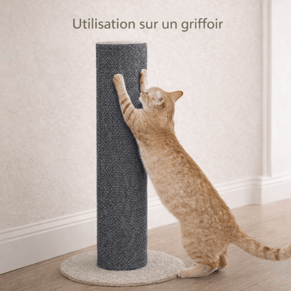 griffoir mural chat auto-adhésif sur griffoir poteau