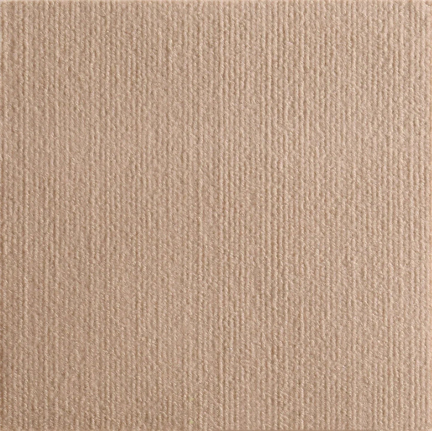 griffoir mural chat auto-adhésif couleur beige