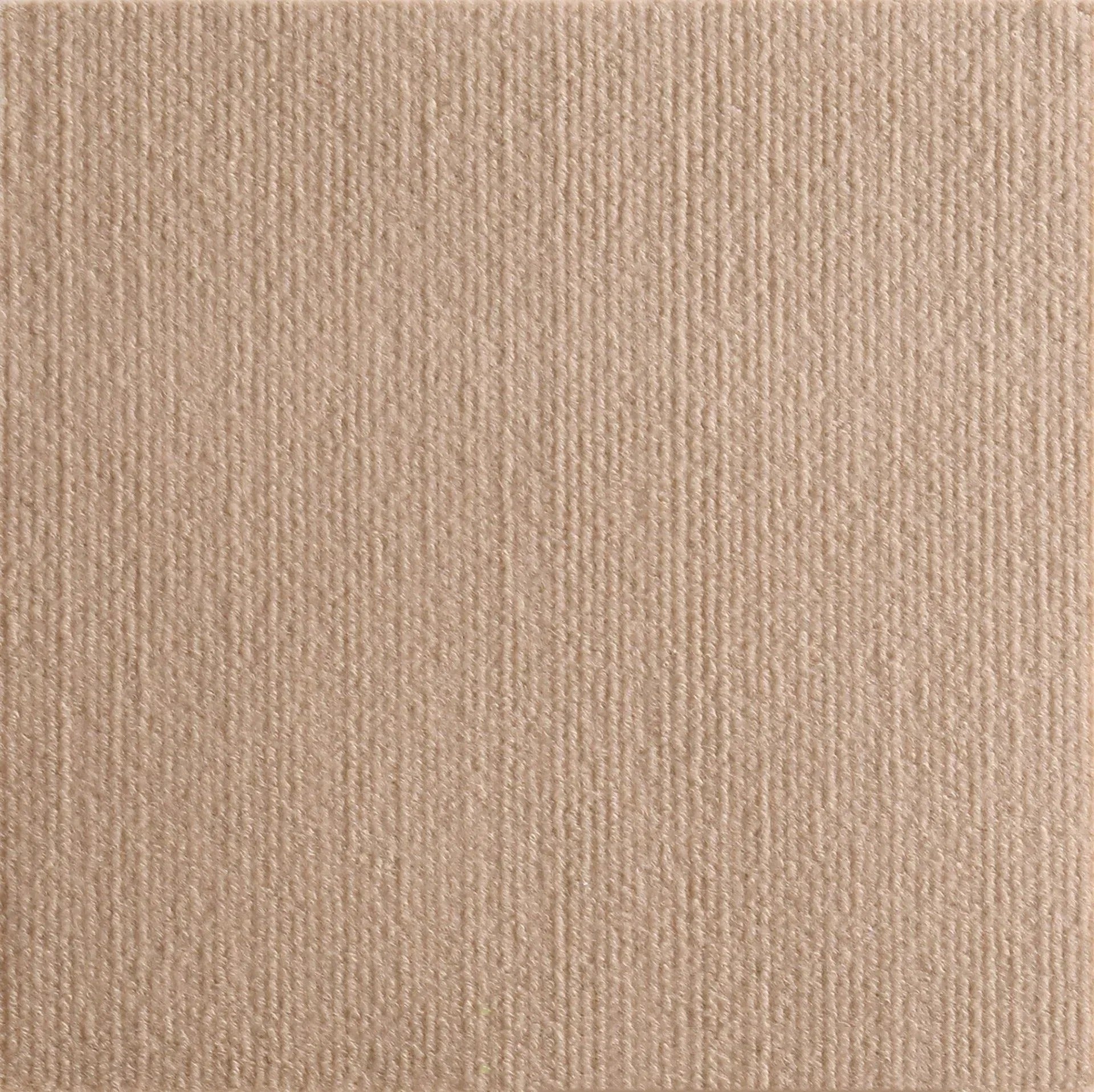 griffoir mural chat auto-adhésif couleur beige