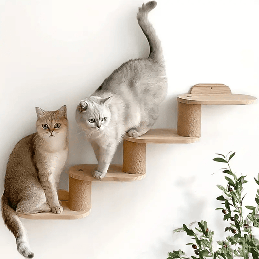 chats heureux dessus Griffoir mural Chat CatPlus