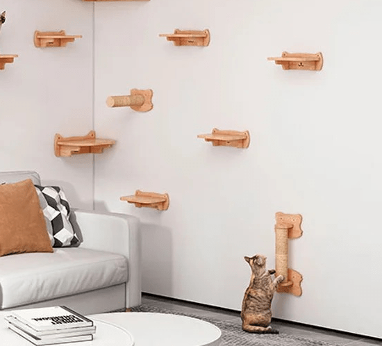 belle minette éguise griffes sur griffoir mural chat Duo Murkitties