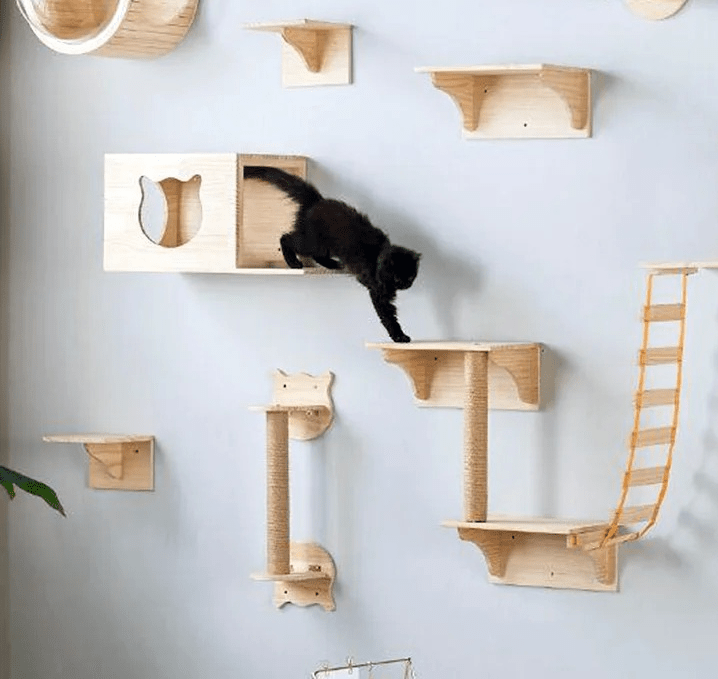 chat promène parcours mural avec griffoir mural chat Duo Murkitties