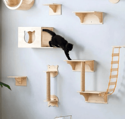 chat promène parcours mural avec griffoir mural chat Duo Murkitties