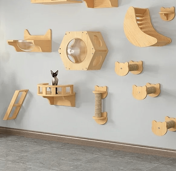 chat observe territoire assis dans parcours mural avec griffoir mural chat Duo Murkitties