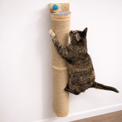 griffoir mural chat sisal résistant chat grimpe