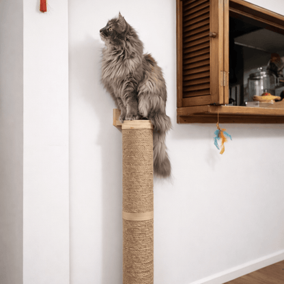 griffoir mural chat sisal bois naturel chat assis dessus