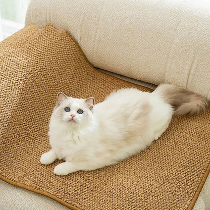 griffoir chat protection canapé tapis griffoir sisal meuble