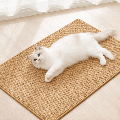 griffoir mural chat sisal confort chat sur-tapis griffoir