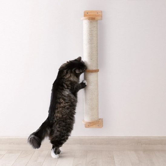chat fait griffes dessus griffoir mural Chat GrifforMur