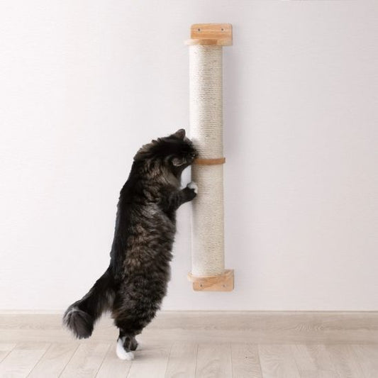 chat fait griffes dessus griffoir mural Chat GrifforMur