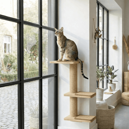 arbre à chat mural design près fenêtre