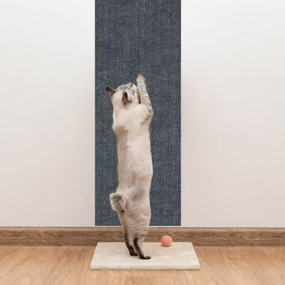 chat fait griffes sur griffoir mural chat MurGriff