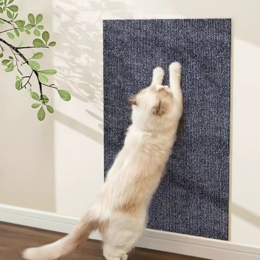 chat s'étire sur griffoir mural chat MurGriff