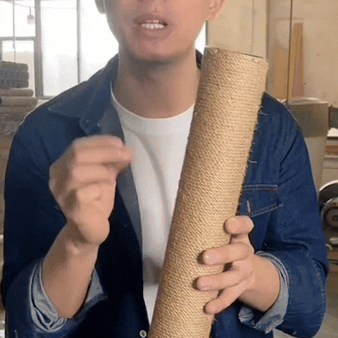 griffoir mural chat sisal utilisation vidéo