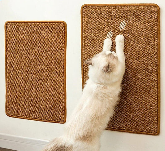 chat blanc poils long fait griffes sur griffoir mural GriffUp