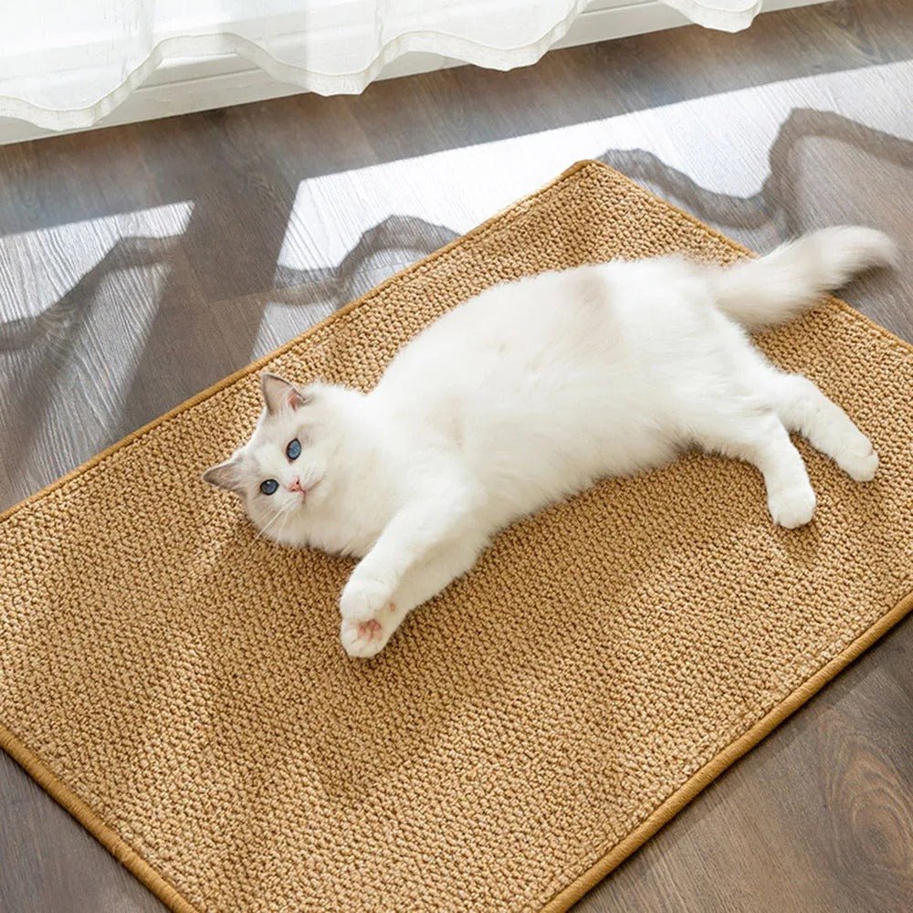 minou blanc étendu sur griffoir mural GriffUp