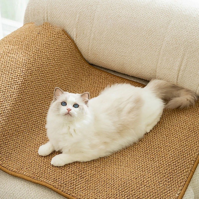 chat couché sur griffoir mural installé sur canapé GriffUp
