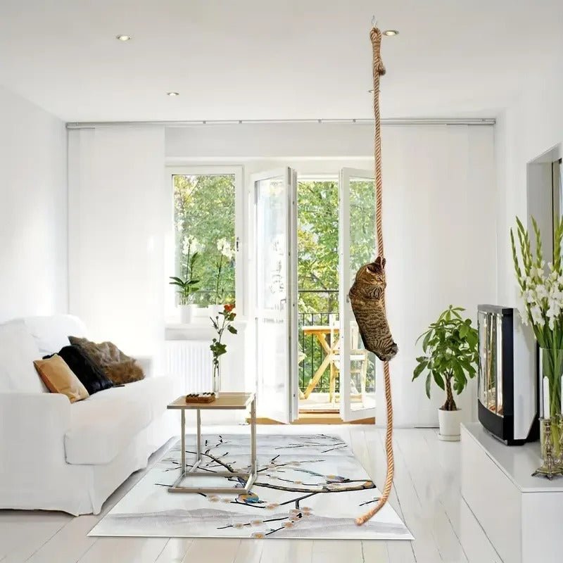 griffoir pour chat design corde sisal plafond salon moderne