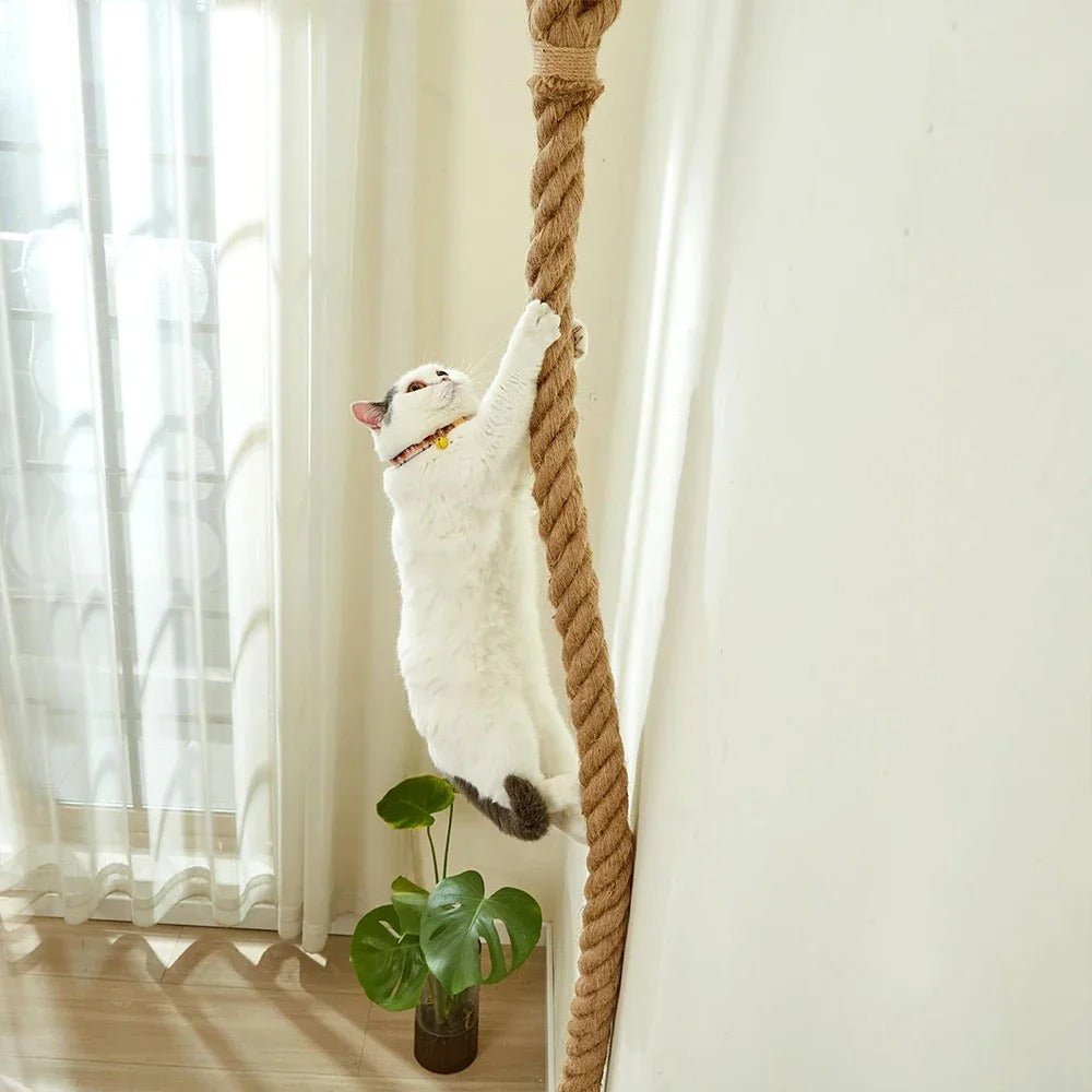 griffoir pour chat design installation murale sisal naturel