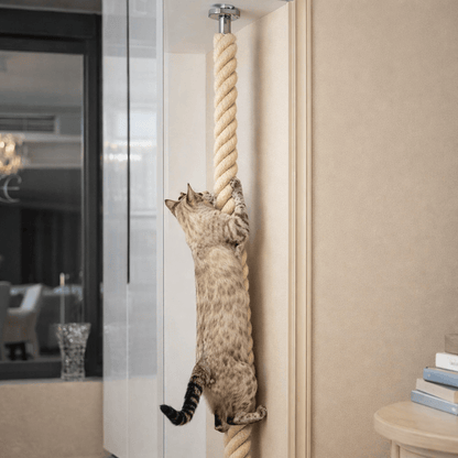 griffoir pour chat design détail corde sisal résistante