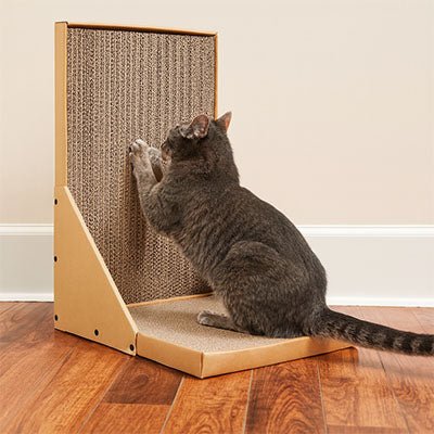 griffoir pour chat design vertical chat griffes carton ondulé